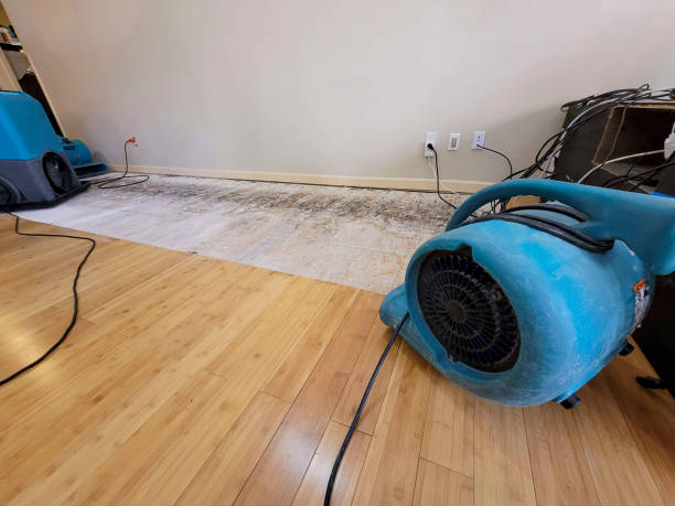 Professional Structural Drying technician working in Olton, TX